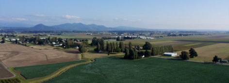 Drone Farm