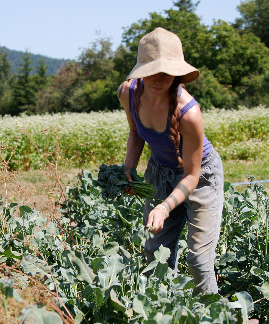 Farming Canoe Journey Photography